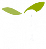 logo BIOSTIMOLA